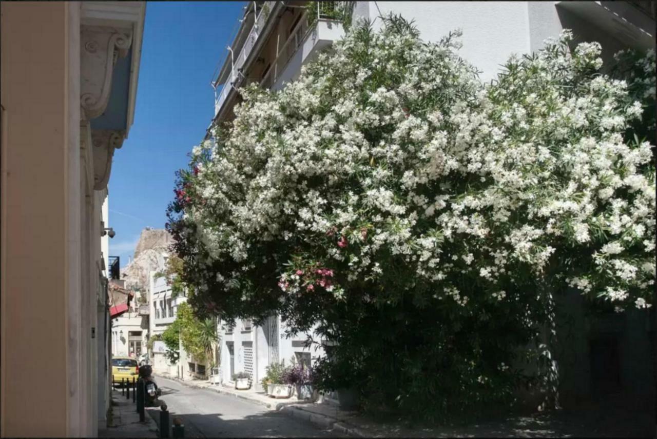 Vintage Charm By The Acropolis! Atenas Exterior foto